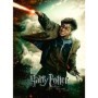 Puzzle Harry Potter, 100 Piese Ravensburger - 1